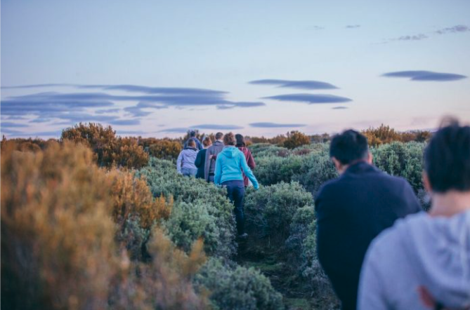 Walk Tasmania: the 5 best hiking trails in the...